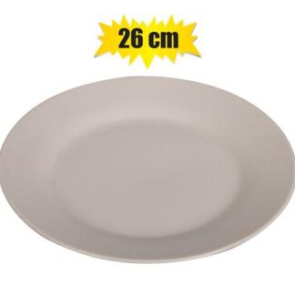 Dinner Plate - White Ware - Large
