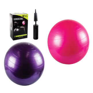 Ball Exercise - Pulse Active