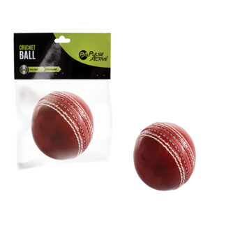 Cricket Practice Ball