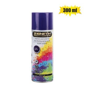 Paint Spray Can - Violet
